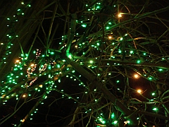 053 Toledo Zoo Light Show [2008 Dec 27]